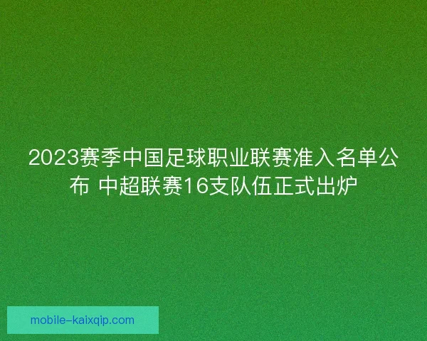 2023赛季中国足球职业联赛准入名单公布 中超联赛16支队伍正式出炉